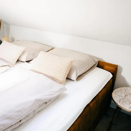 Kelp * Egmond aan Zee