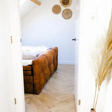 Kelp * 海边的艾格蒙特