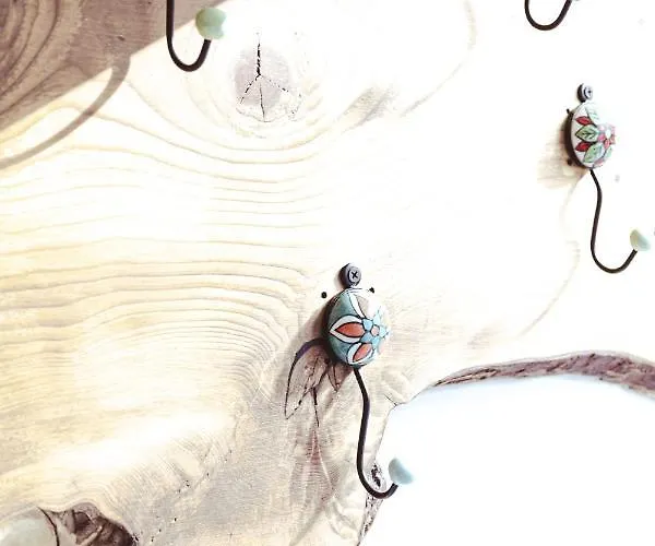 Kelp Dom wakacyjny Egmond aan Zee