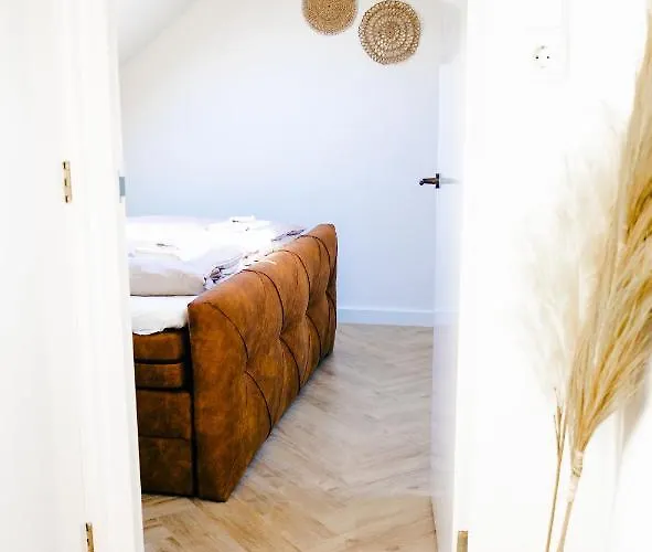 Kelp * Egmond aan Zee