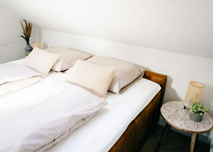 Kelp * Egmond aan Zee