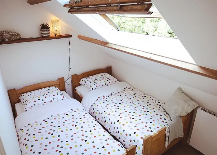 Kelp * Egmond aan Zee