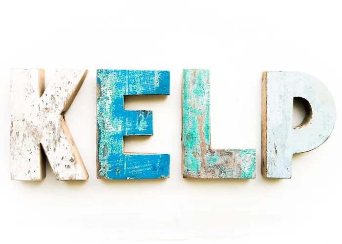 Dom wakacyjny Kelp Egmond aan Zee